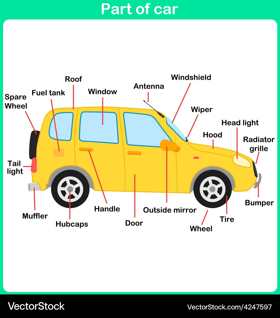 Leaning Parts Of Car For Kids Worksheet Royalty Free Vector VectorStock