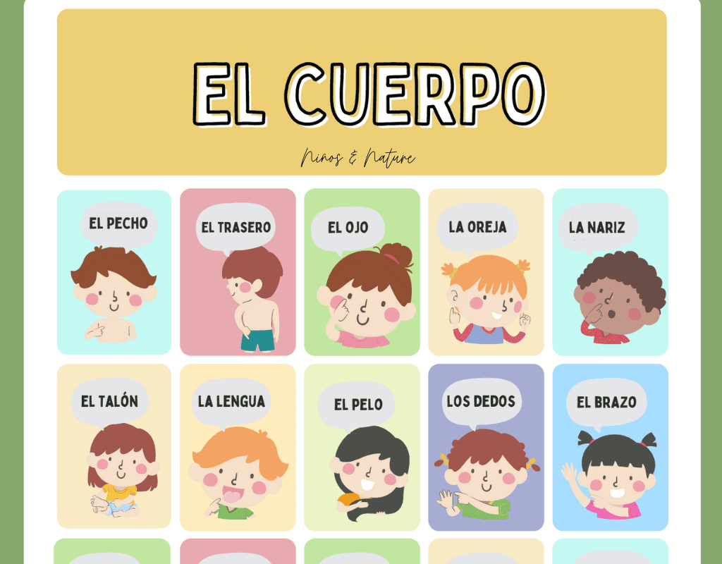 Learn The Body Parts In Spanish Free Spanish Worksheets Ni Os Nature