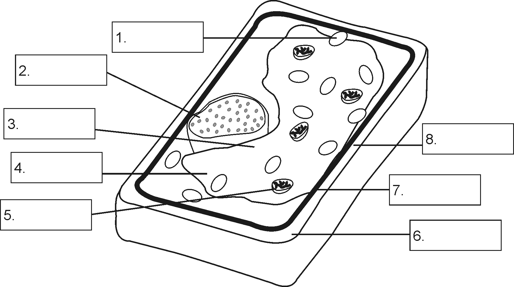 Lo 2 1 2 2 2 3 2 4 Structure Of A Plant Cell By OpenStax Jobilize 4 1 Cell Biology Cheat Sheet Eukaryotic And Animal Cell Overview Studocu