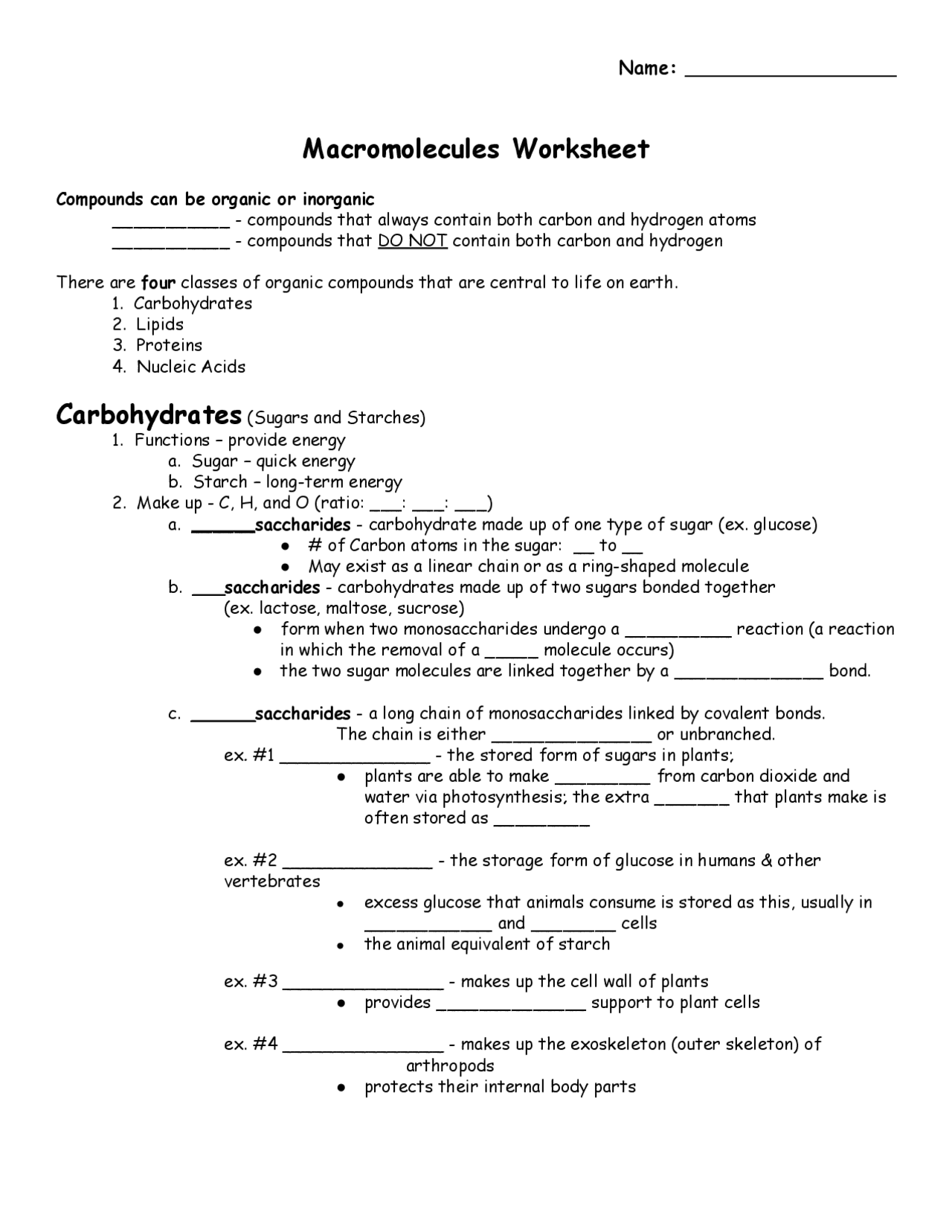 Macromolecules Review Worksheet Assignments Biology Docsity