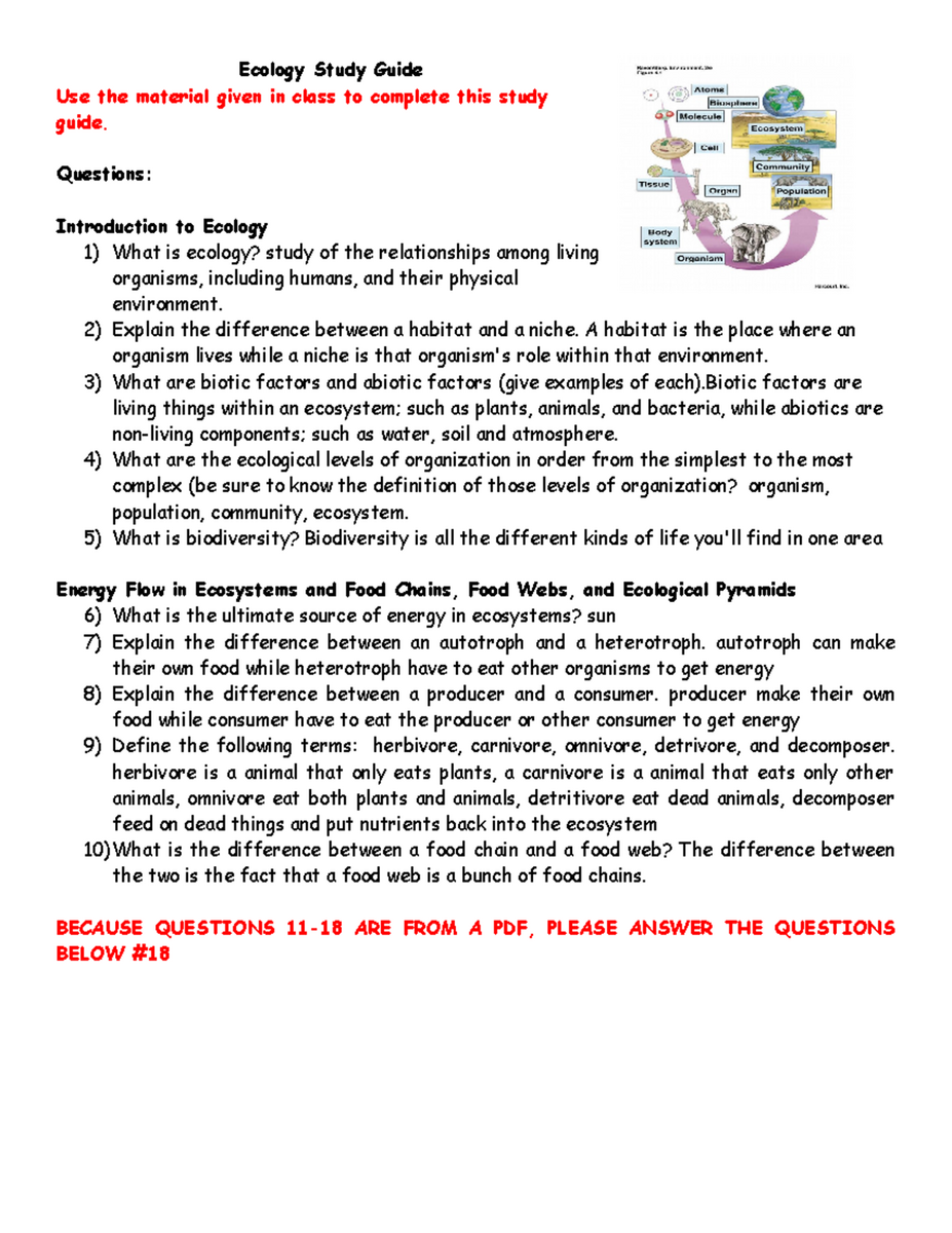 Macromolecules Worksheet 2 Identification Classification Guide Studocu
