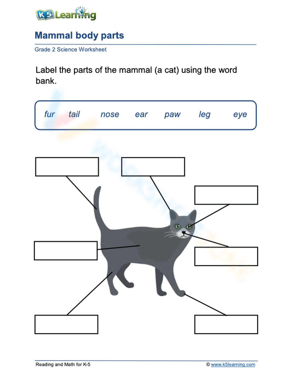 Mammal Body Parts Worksheet Mammal Body Parts Worksheet