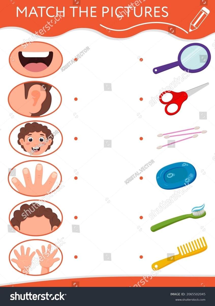 Matching Game Children Find Couple Body Stock Vector Royalty Free 2065502045 Shutterstock Matching Game Children Find Couple Body Stock Vector Royalty Free 2065502045 Shutterstock