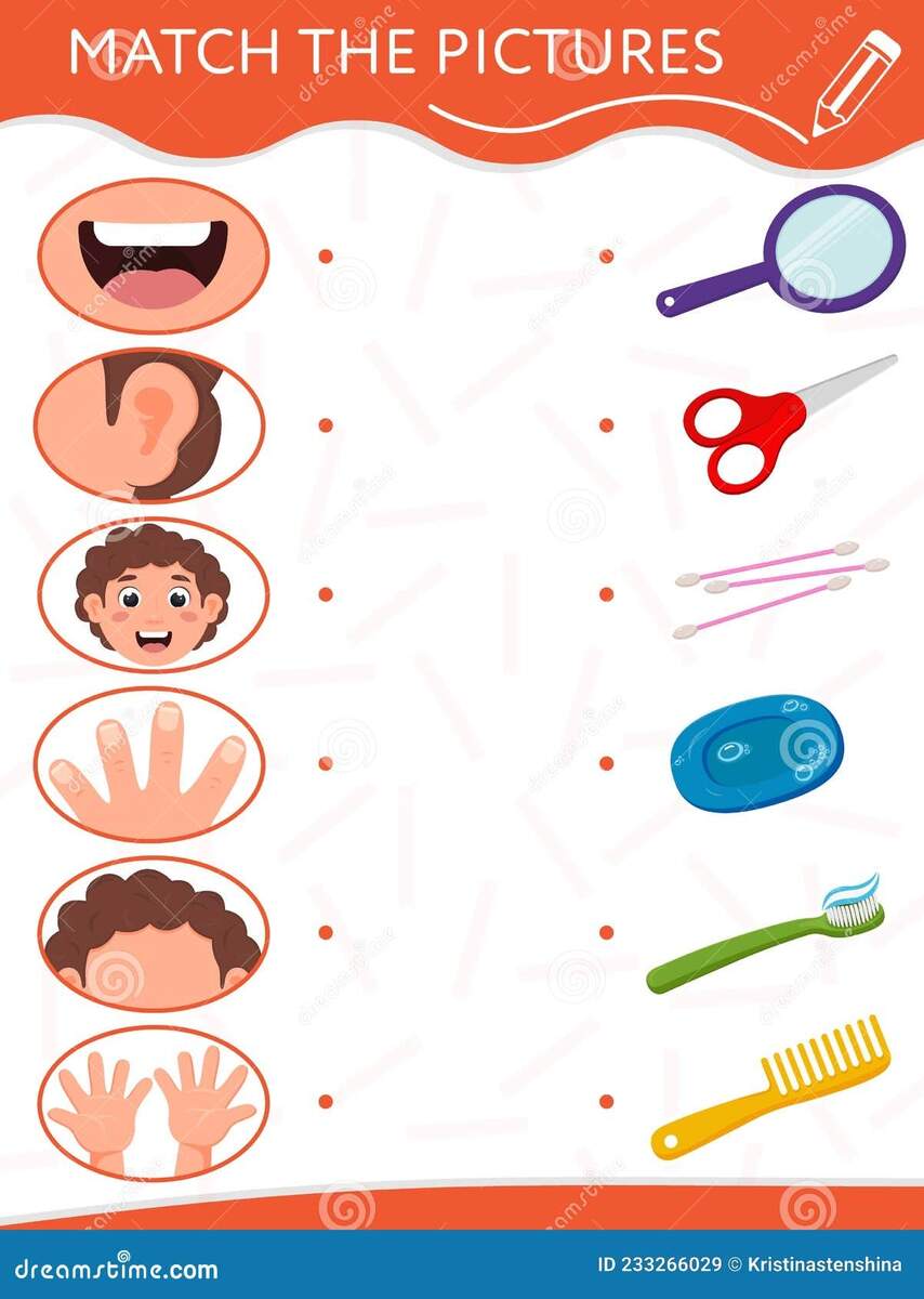 Matching Game For Children Find A Couple Of Body Parts And Hygiene Products Educational Worksheets Or Activity Book Stock Vector Illustration Of Cartoon Elementary 233266029