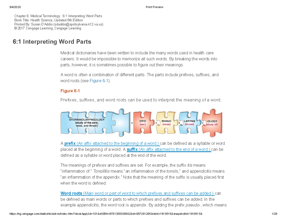 Medical Terminology Chapter 6 Interpreting Word Parts HLTH 101 Studocu