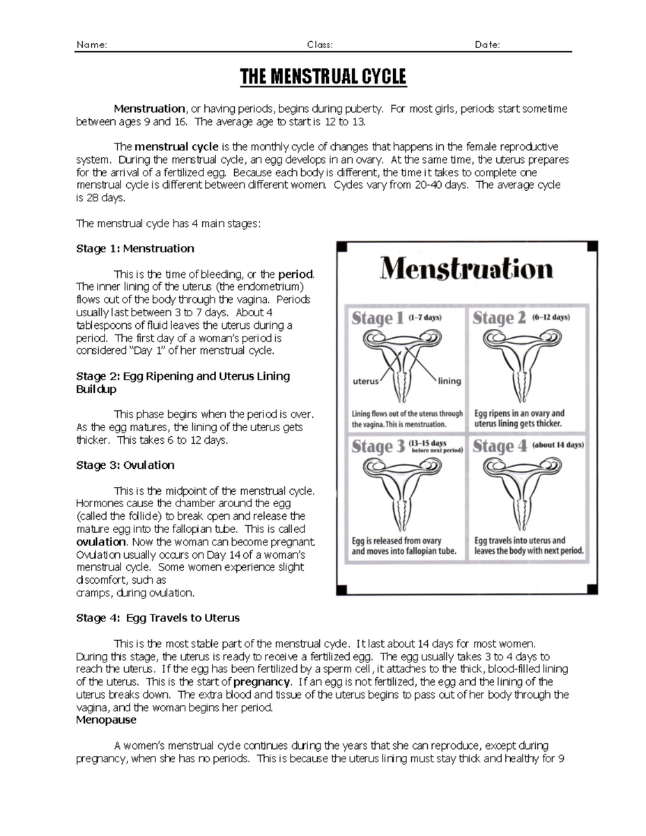Menstrual Cycle Overview Worksheet For Health Class HLTH 101 Studocu Menstrual Cycle Overview Worksheet For Health Class HLTH 101 Studocu