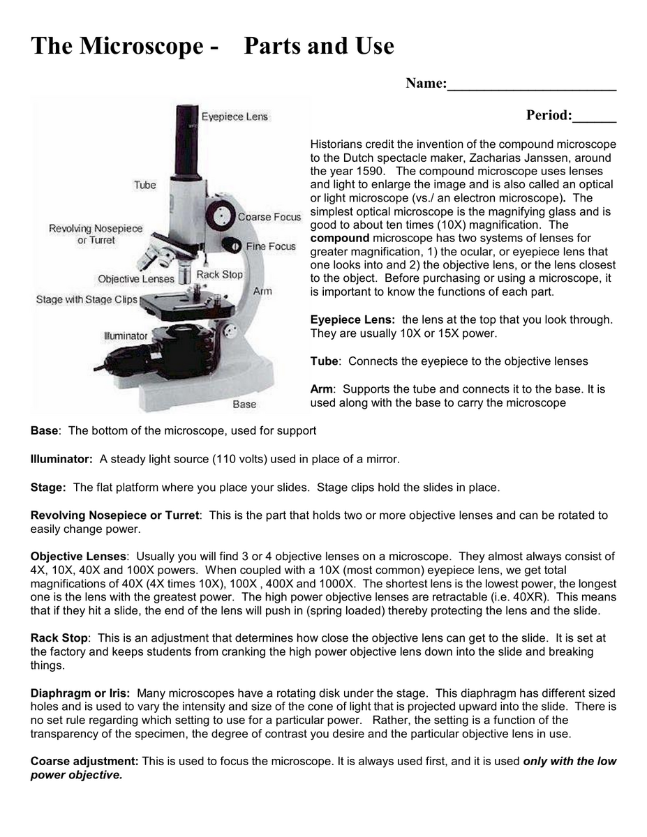 Microscope Parts Use Worksheet Microscope Parts Use Worksheet