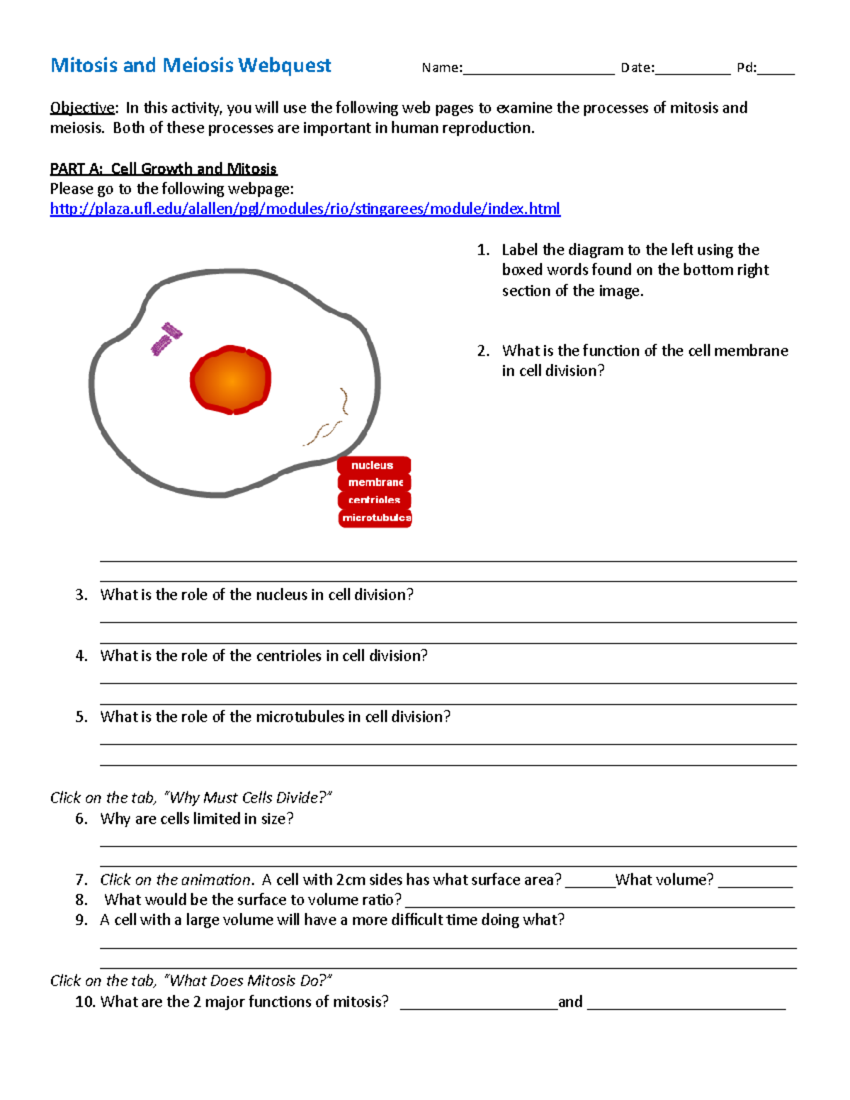 Mitosis And Meiosis Webquest Guide S14 1 Overview And Comparison Studocu Quiz Worksheet Components Of The Nucleus Study