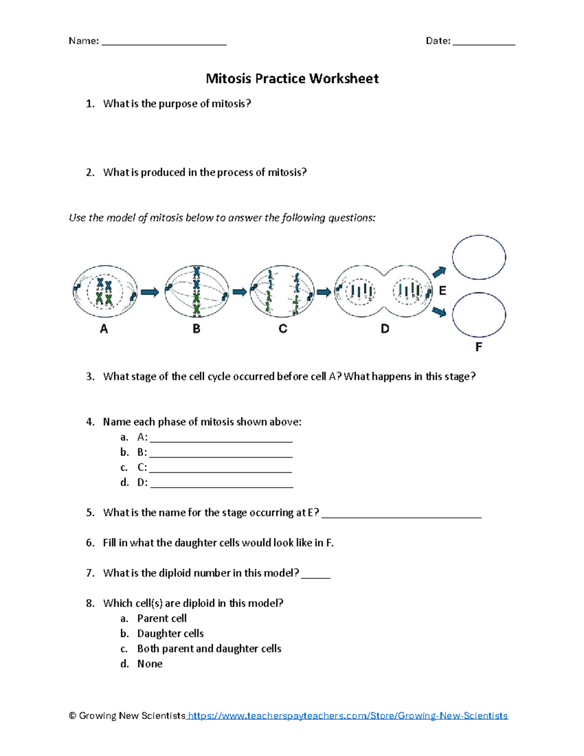 Mitosis Practice Worksheet Understanding Cell Division Studocu Mitosis Practice Worksheet Understanding Cell Division Studocu