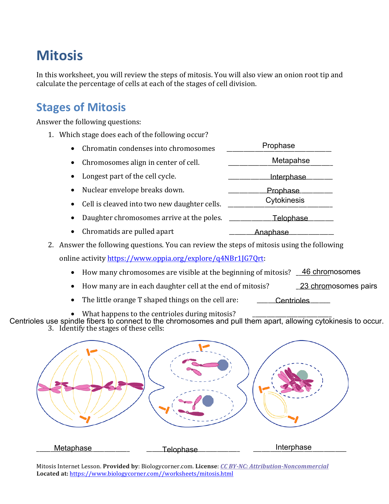Theatre Terms Matching Worksheet
