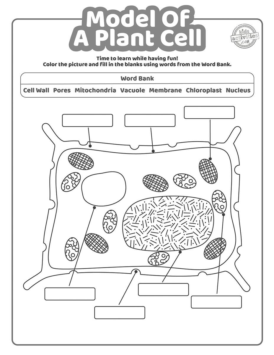 Model Of A Plant Cell Worksheet Coloring Pages Kids Activities Blog Animal Cell Diagram