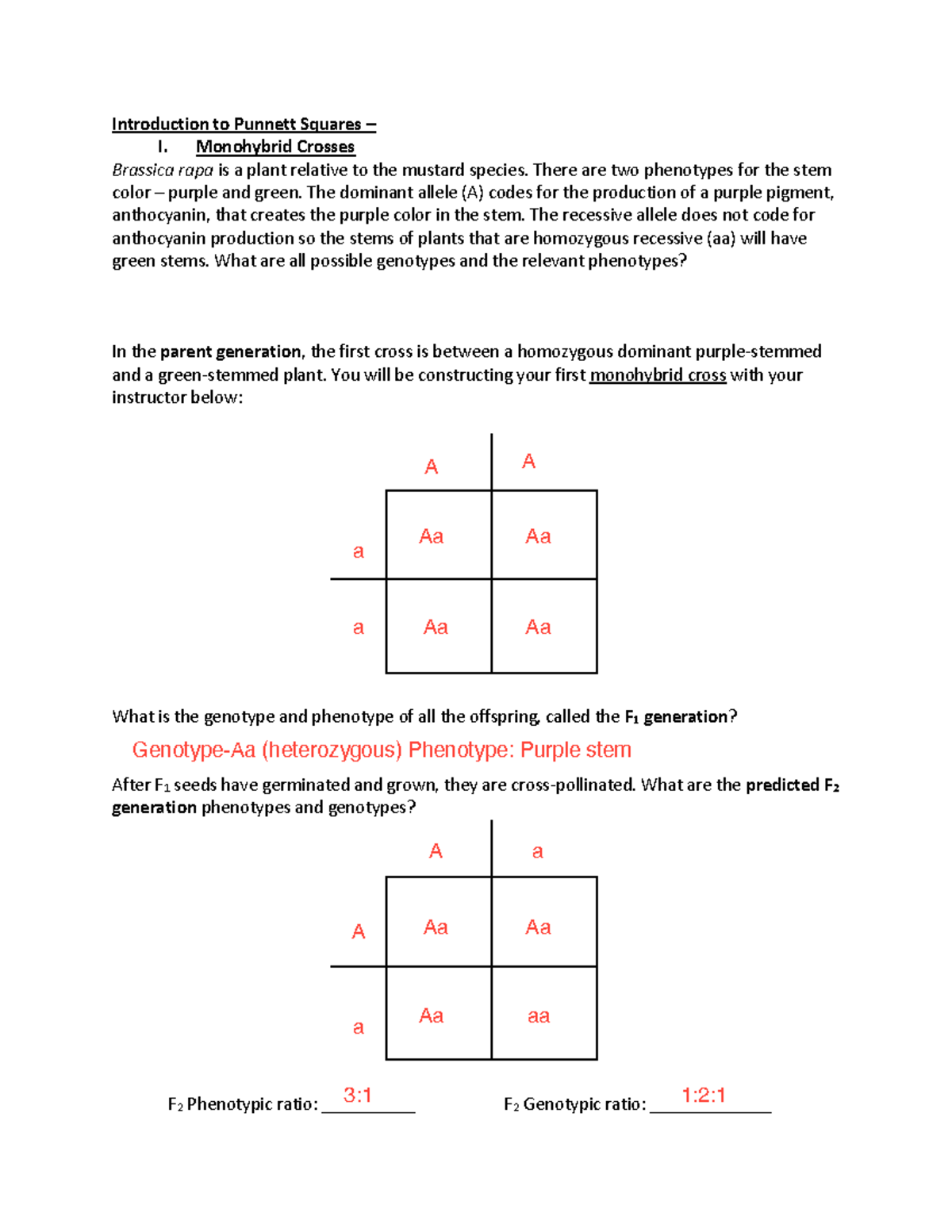 Monohybrid Cross Worksheet Brassica Rapa Genotypes Phenotypes Studocu Monohybrid Cross Worksheet Brassica Rapa Genotypes Phenotypes Studocu