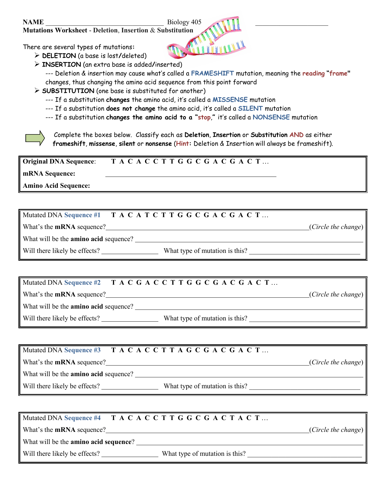 Mutation Worksheet Deletion Insertion Substitution Mutation Worksheet Deletion Insertion Substitution