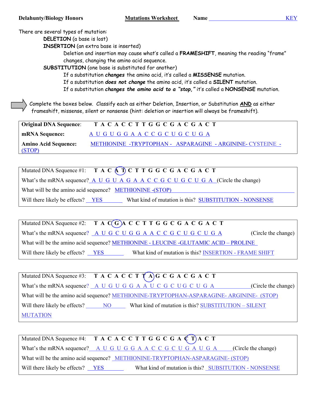 Mutations Worksheet DNA MRNA Amino Acids