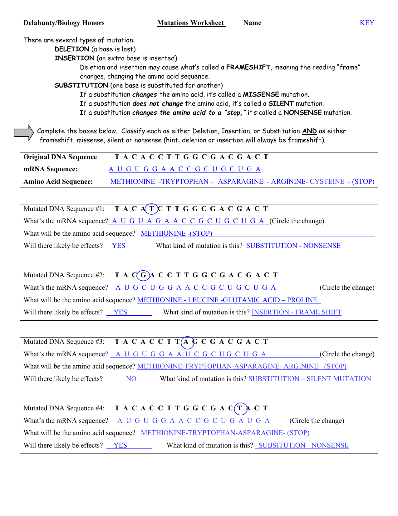 Mutations Worksheet DNA MRNA Amino Acids Mutations Worksheet DNA MRNA Amino Acids