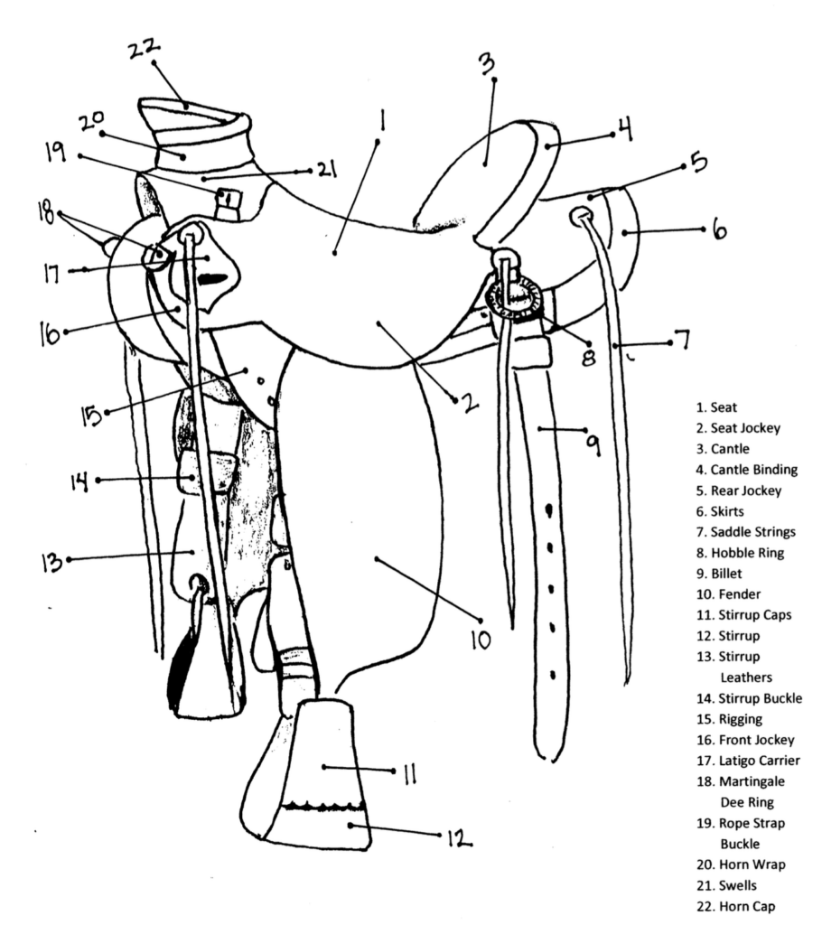 Order A Saddle Frecker S Saddlery