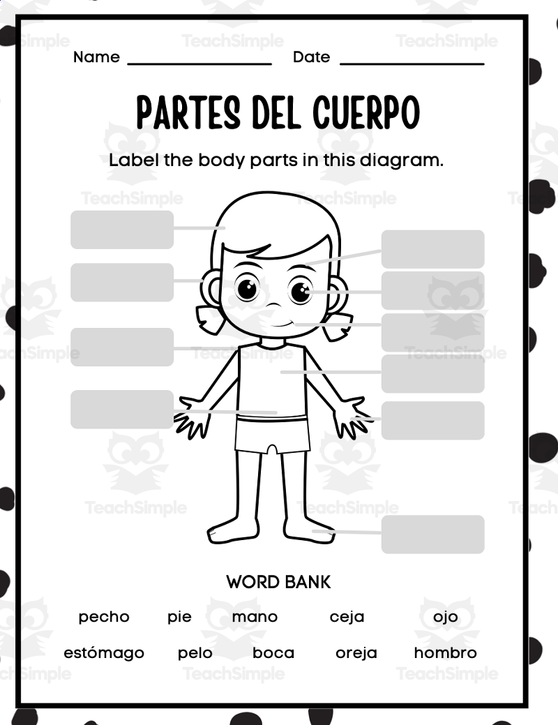 Partes Del Cuerpo Parts Of The Body Spanish By Teach Simple Partes Del Cuerpo Parts Of The Body Spanish By Teach Simple