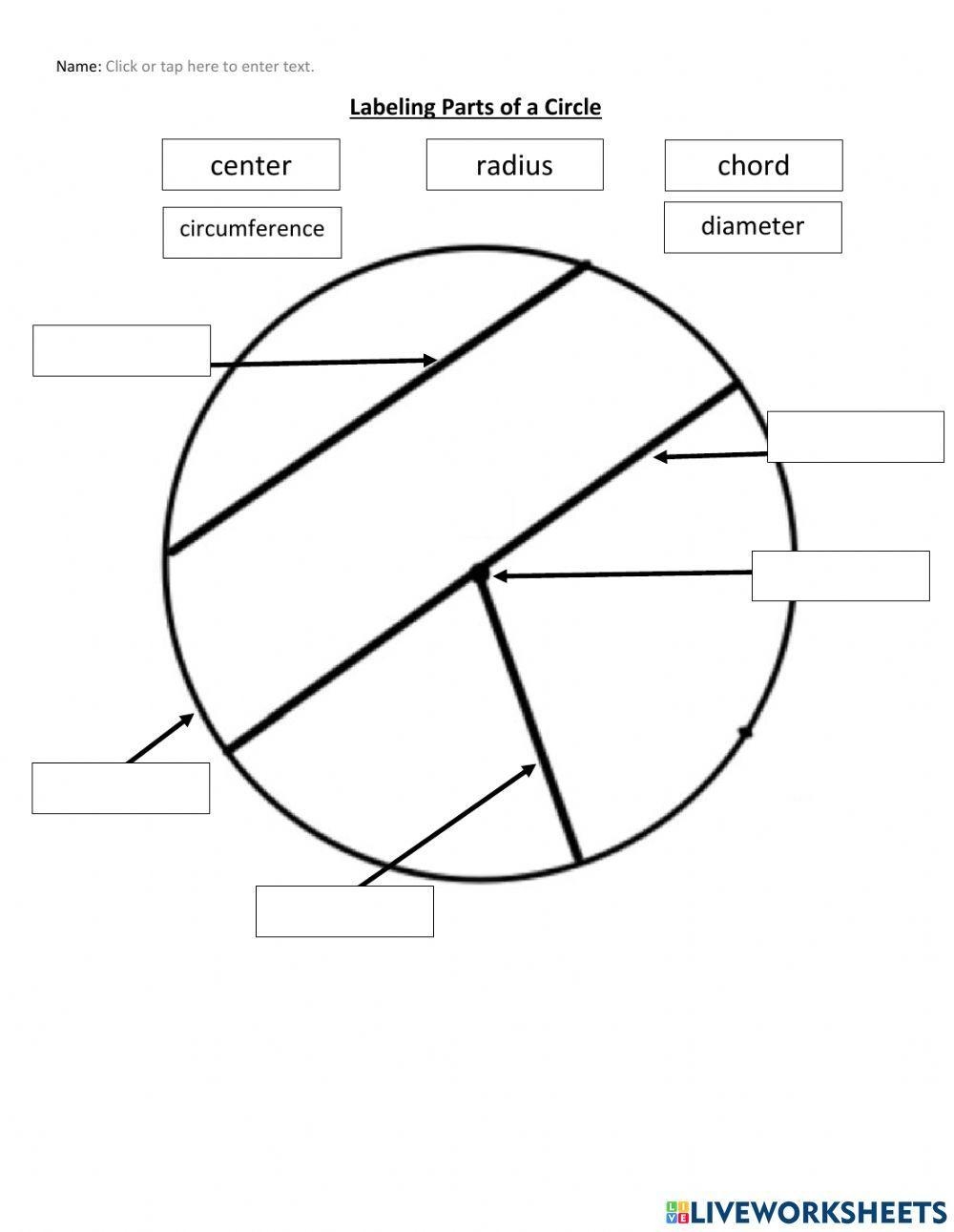 Parts Of A Circle Worksheet Explore Geometry With Engaging Exercises