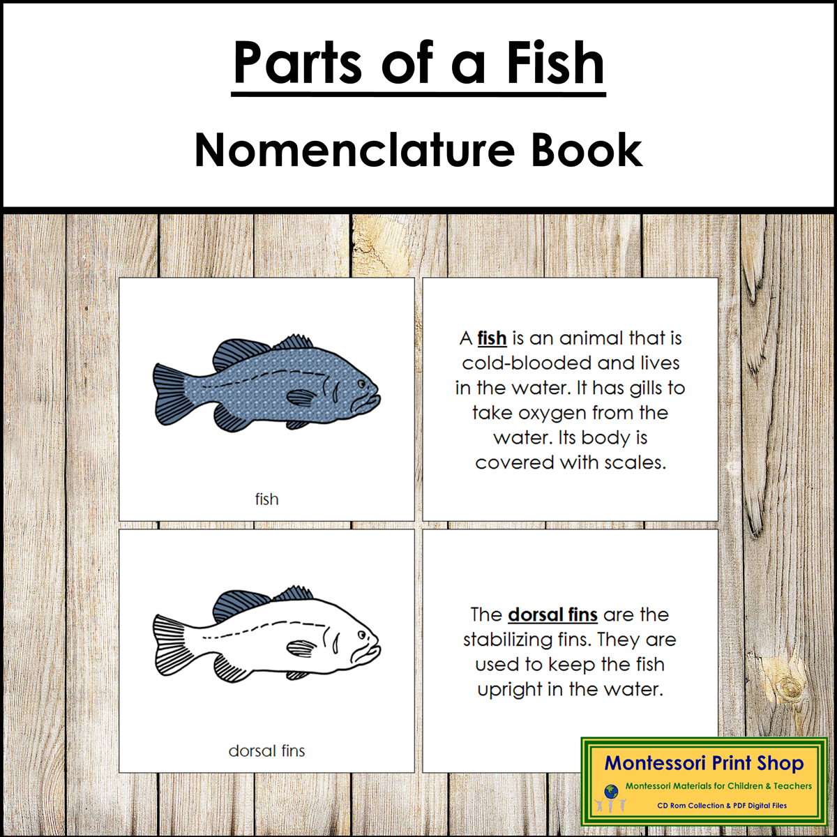 Parts Of A Fish Book Montessori Nomenclature Made By Teachers
