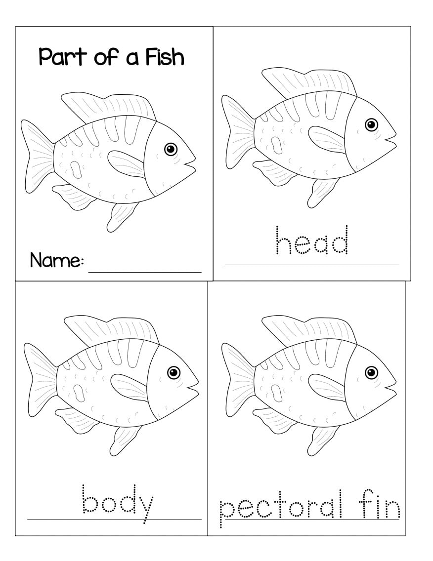 Parts Of A Fish Montessori 3 Part Cards Etsy Israel