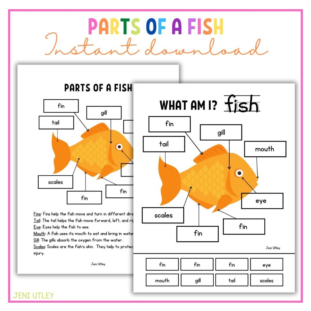 Parts Of A Fish Preschool Science Etsy Parts Of A Fish Preschool Science Etsy