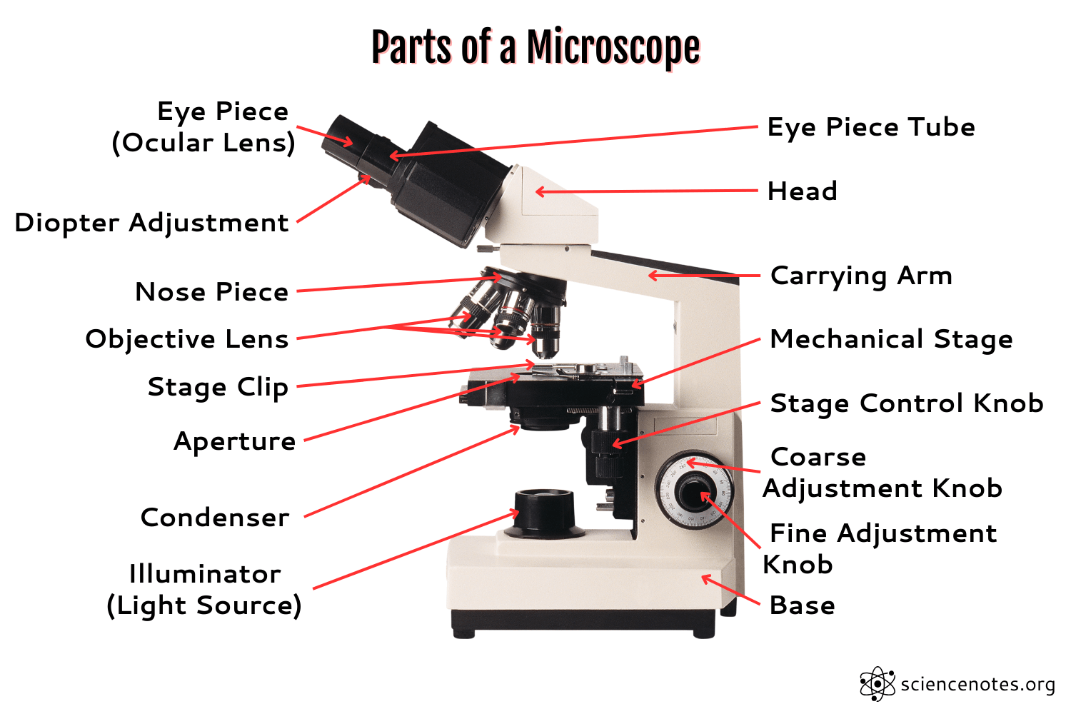 Parts Of A Microscope And Microscopy Study Guide Parts Of A Microscope And Microscopy Study Guide