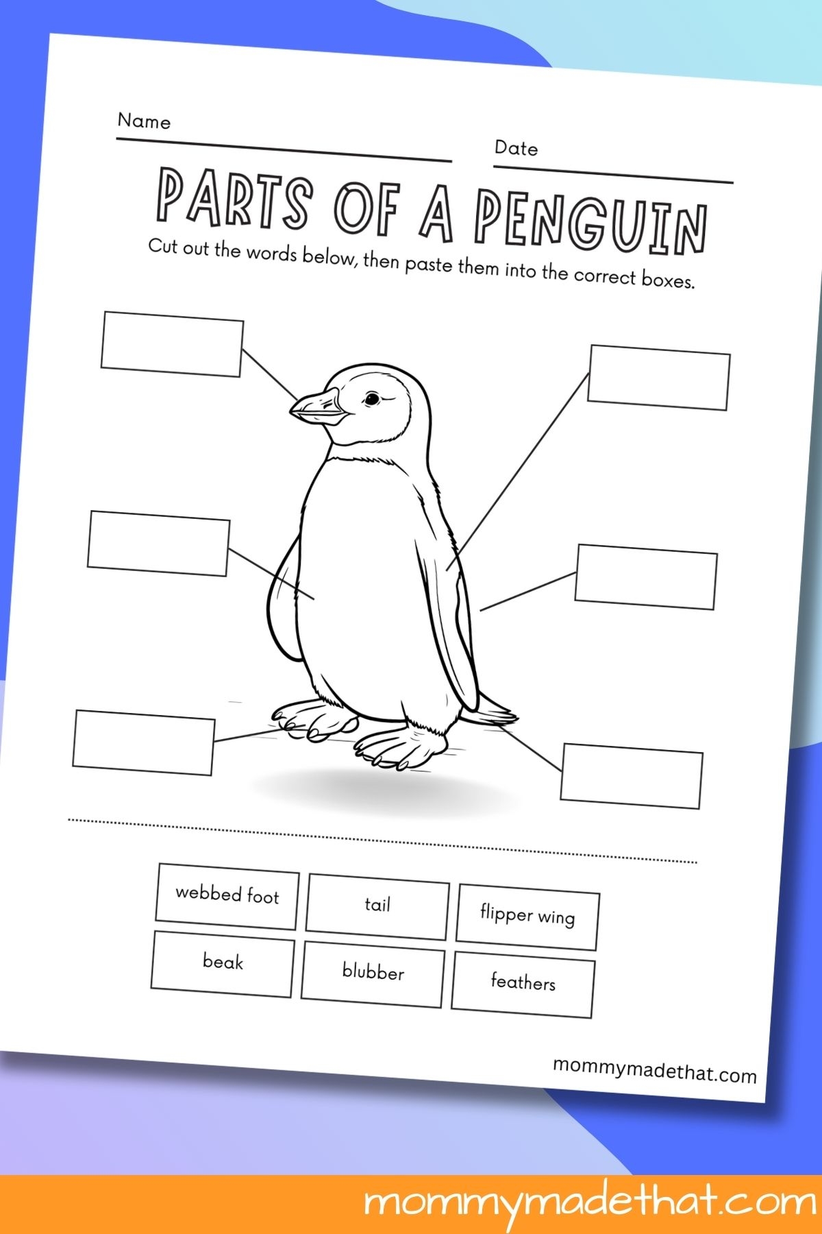 Parts Of Penguin Worksheets Free Printable