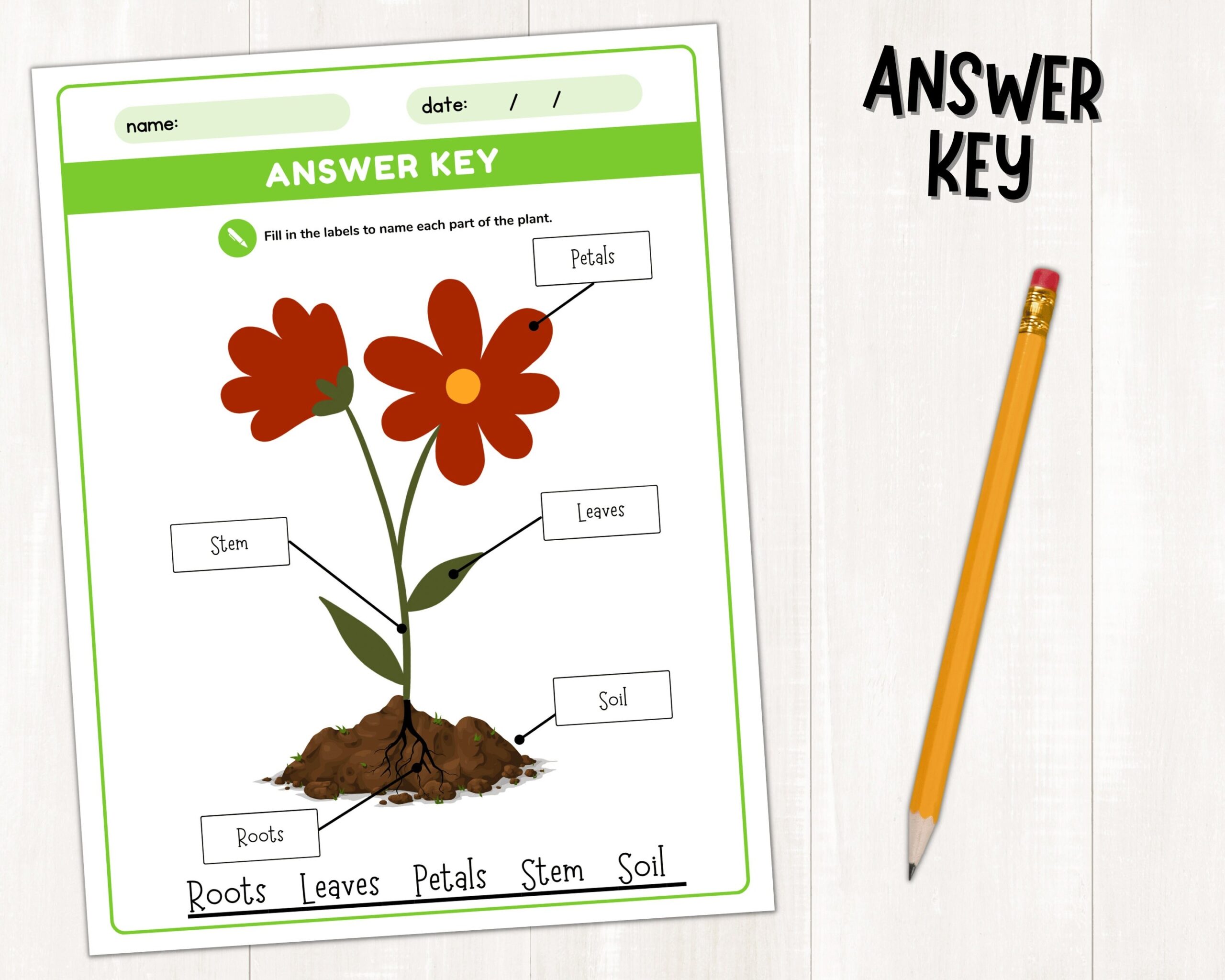 Parts Of A Plant Science Activities Printable Plant Labeling Worksheets Plant Cut And Paste Activity Parts Of A Flower For Kids PDF Etsy Parts Of A Plant Science Activities Printable Plant Labeling Worksheets Plant Cut And Paste Activity Parts Of A Flower For Kids PDF Etsy