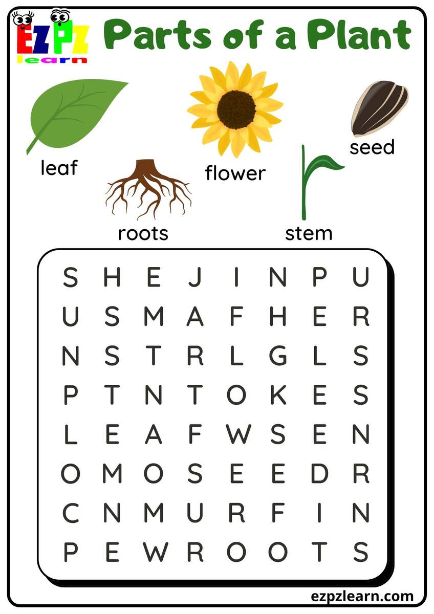Parts Of A Plant Vocabulary Word Search Activity For Kindergarten Or ESL Students Free Printable PDF Download Ezpzlearn