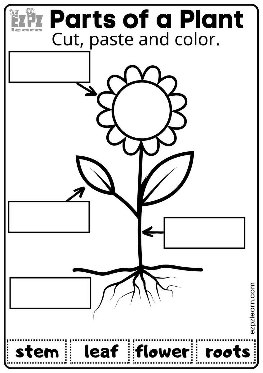 Parts Of A Plant Vocabulary Worksheet Cut Paste And Color Activity For Kindergarten K5 And ESL Students Free Printable PDF Download Ezpzlearn Parts Of A Plant Vocabulary Worksheet Cut Paste And Color Activity For Kindergarten K5 And ESL Students Free Printable PDF Download Ezpzlearn