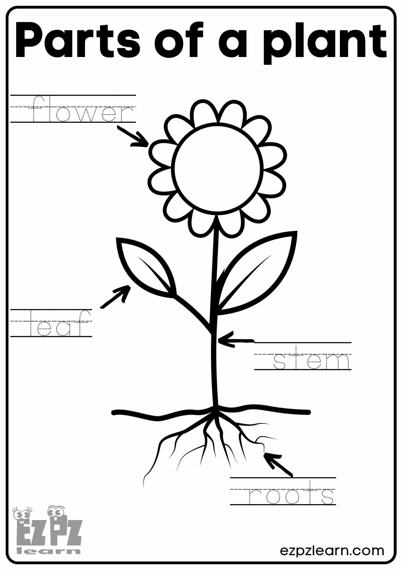Parts Of A Plant Vocabulary Worksheet Write The Words And Color The Flower Activity For Kindergarten K5 And ESL Students Free Printable PDF Download Ezpzlearn Parts Of A Plant Read And Choose Worksheet For Kindergarten Or ESL Students Free Printable PDF Download Ezpzlearn