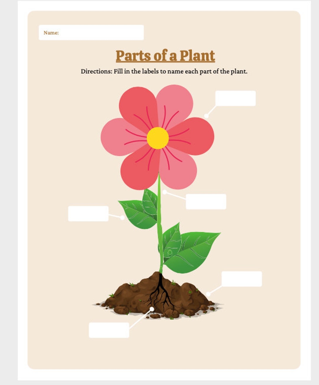 Parts Of A Plant Worksheet Parts Of The Plant Labeling Activity Summer School Resources Home School Plant Activity Etsy Parts Of A Plant Worksheet Parts Of The Plant Labeling Activity Summer School Resources Home School Plant Activity Etsy