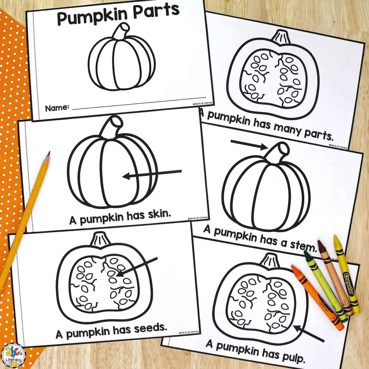 Parts Of A Pumpkin Book Printable Book For Beginning Readers Pumpkin Science Fall Activity Label Parts Of A Pumpkin Diagram Etsy