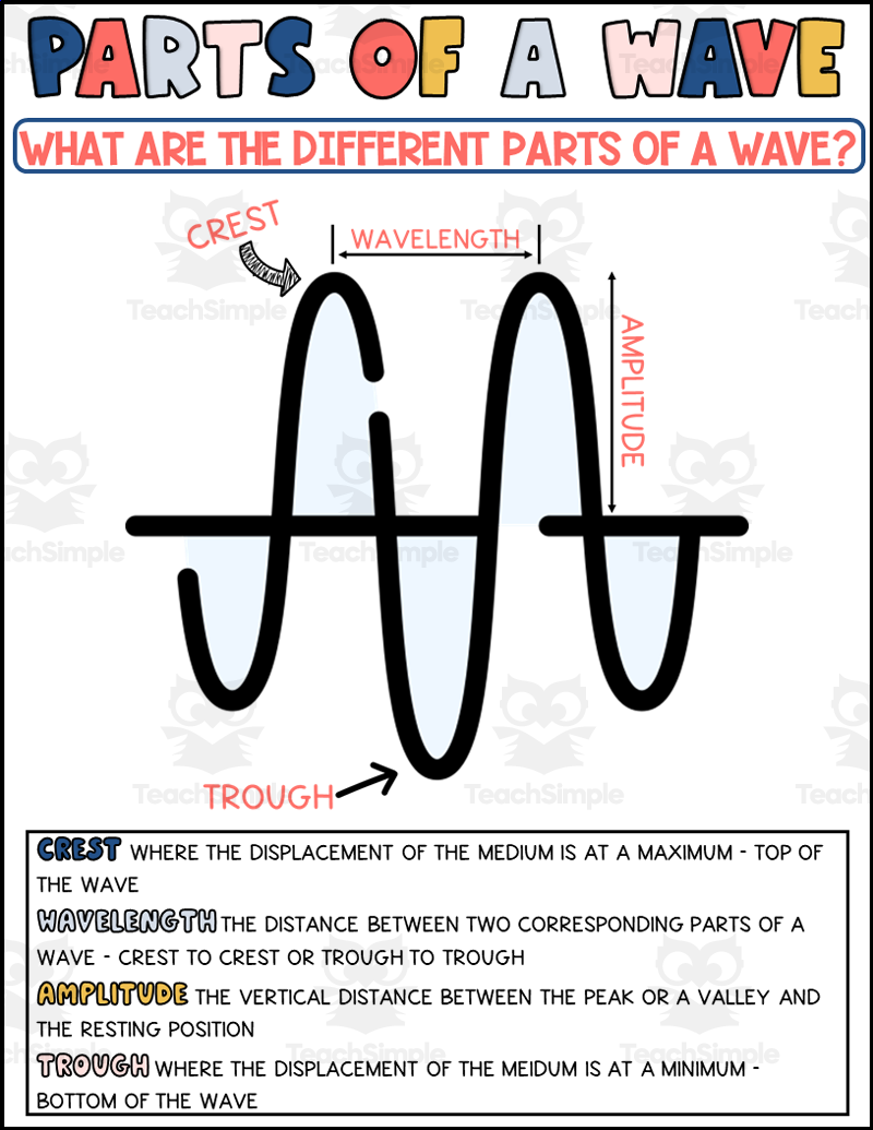 Parts Of A Wave Worksheet