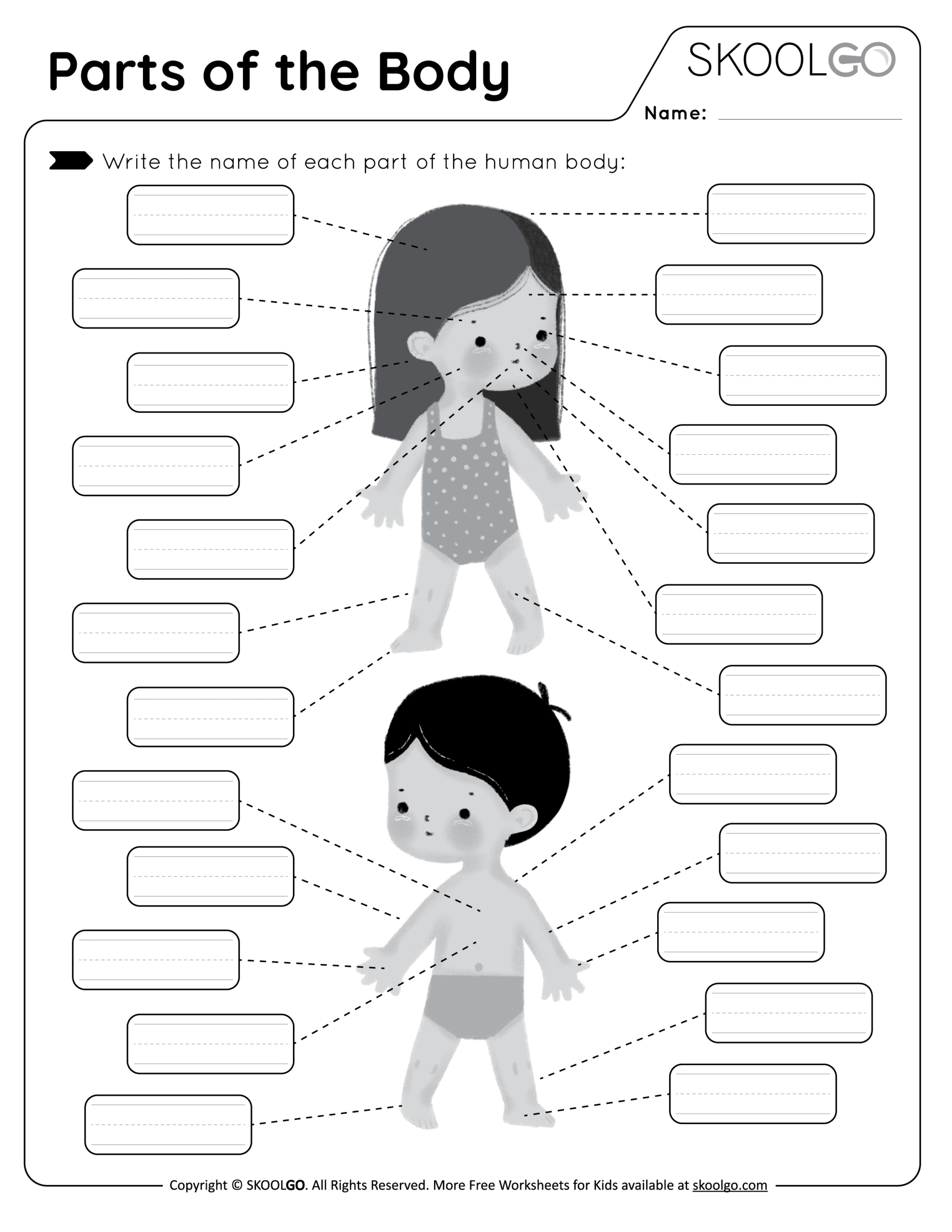 Parts Of The Body Free Worksheet SKOOLGO Body Parts Worksheet For Kids Royalty Free Vector VectorStock