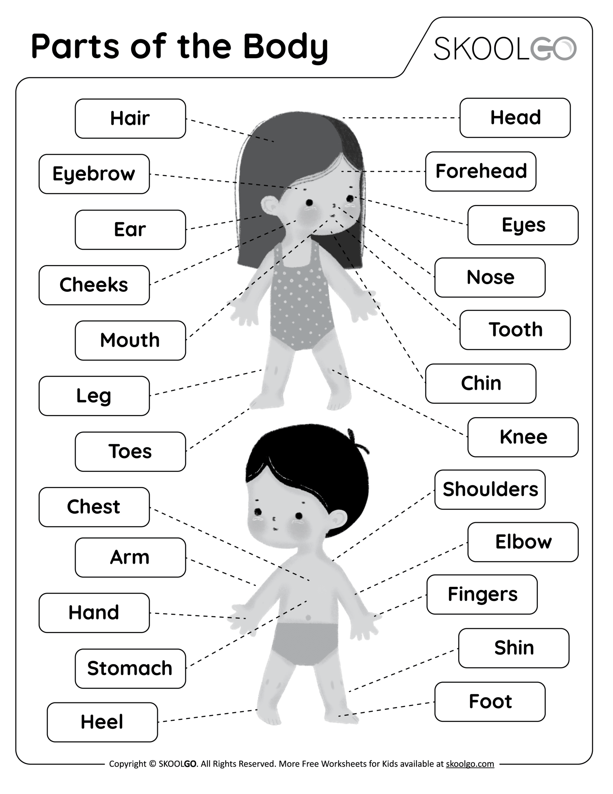 Body Parts Worksheet For Kids Royalty Free Vector VectorStock