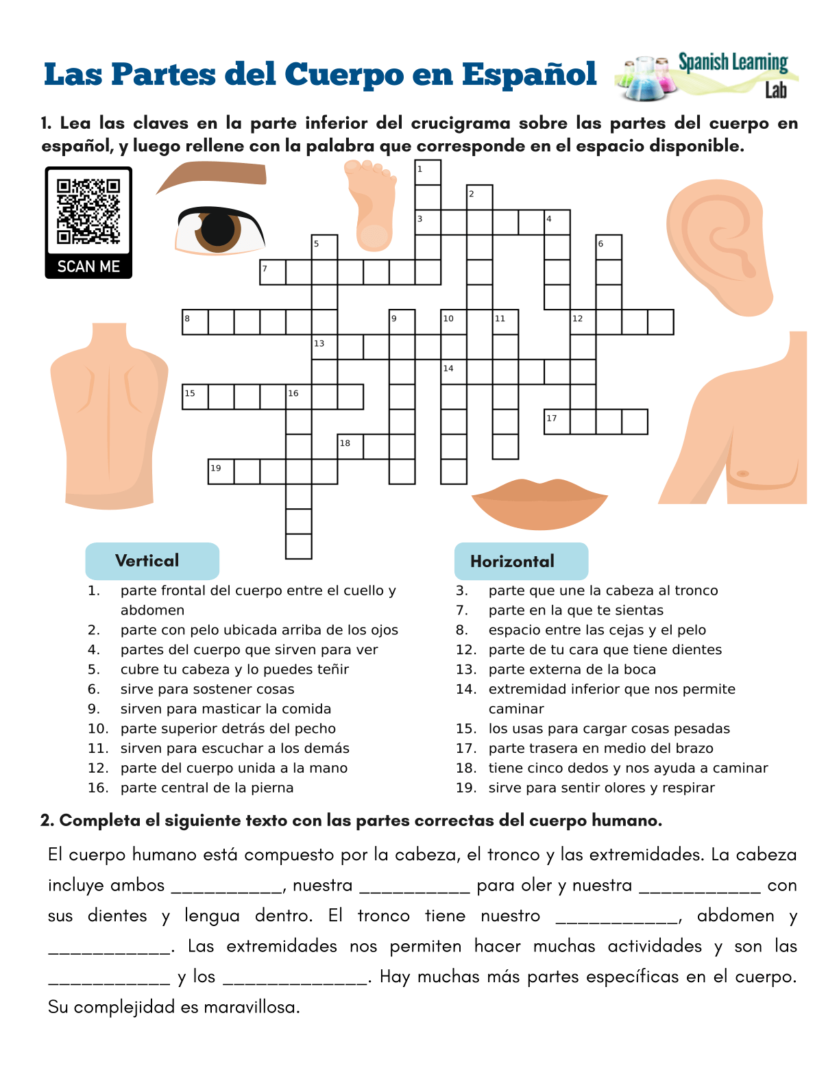 Las Partes Del Cuerpo Worksheet WordMint