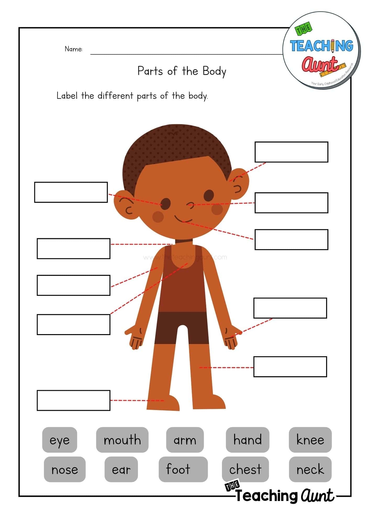 Customize 82 Body Parts Worksheets Templates Online Canva