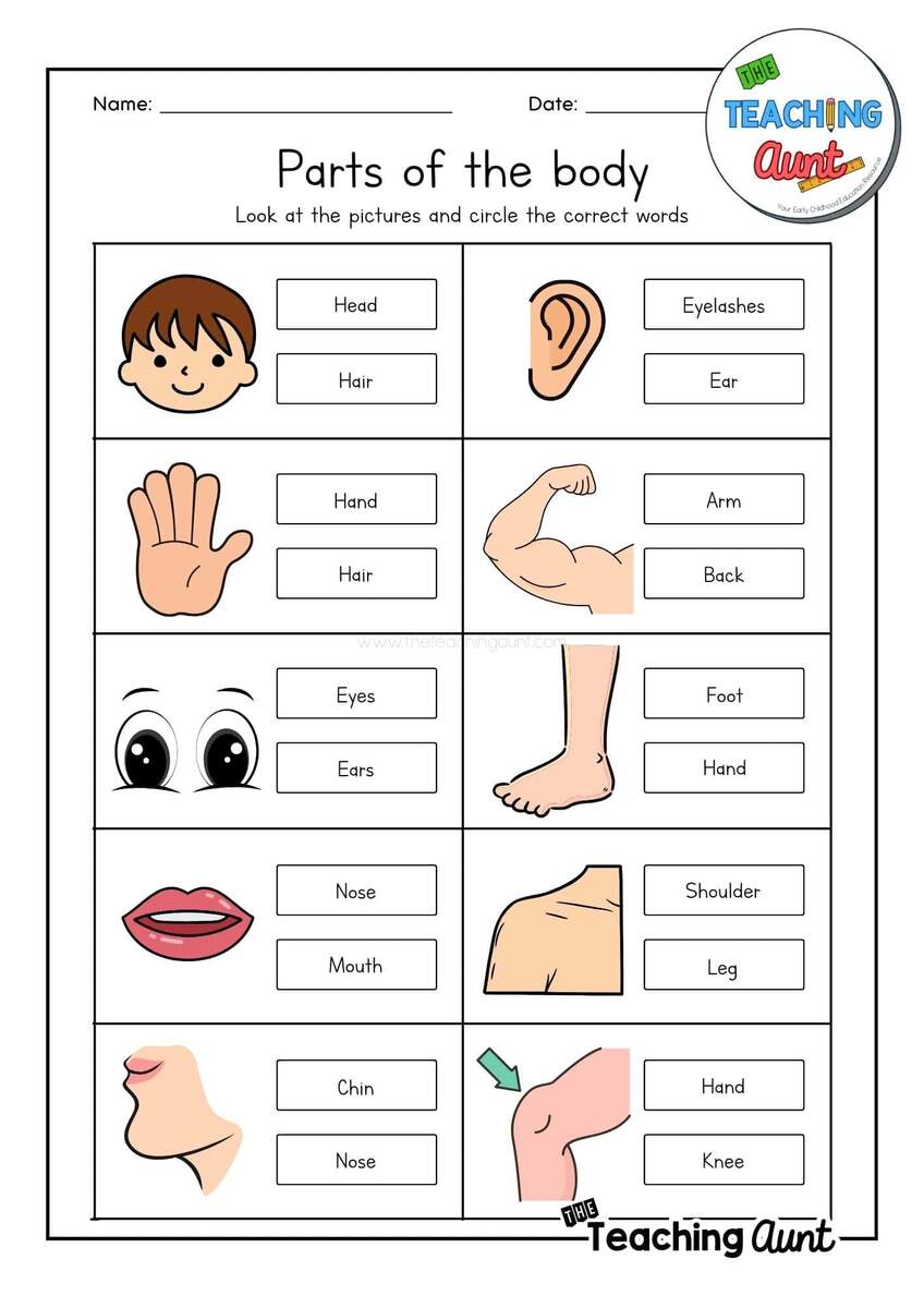 Parts Of The Body Worksheets The Teaching Aunt Parts Of The Body Worksheets The Teaching Aunt