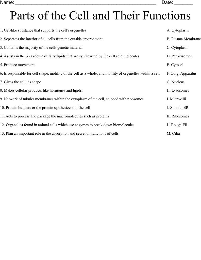 Parts Of The Cell And Their Functions Worksheet WordMint Parts Of The Cell And Their Functions Worksheet WordMint