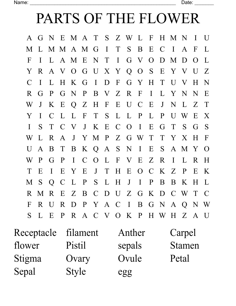 PARTS OF THE FLOWER Word Search WordMint PARTS OF THE FLOWER Word Search WordMint