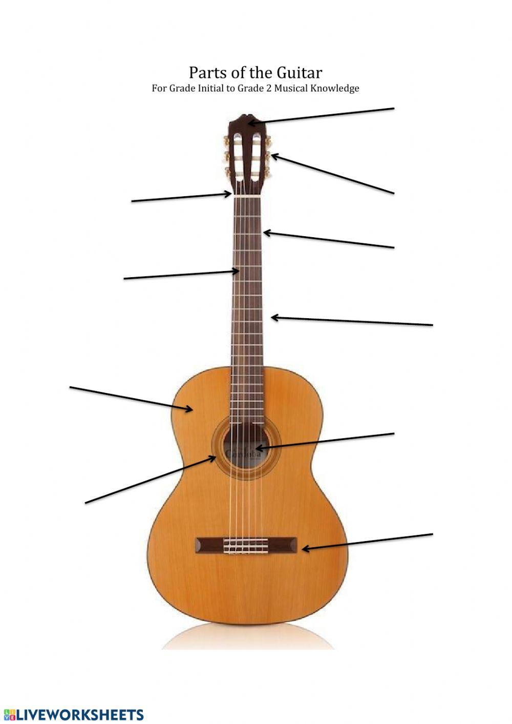 Parts Of The Guitar Worksheet Worksheets Library Parts Of The Guitar Worksheet Worksheets Library
