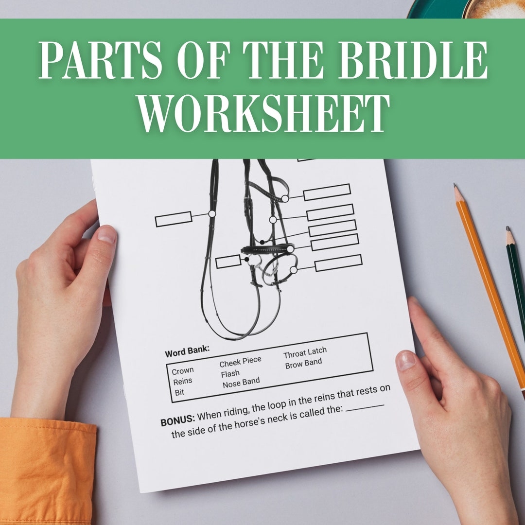 Parts Of The Horse Bridle Worksheet Horse Camp Activity Worksheet Equestrian Learning Homeschool Horse Tack Labeling Horse Equipment Etsy