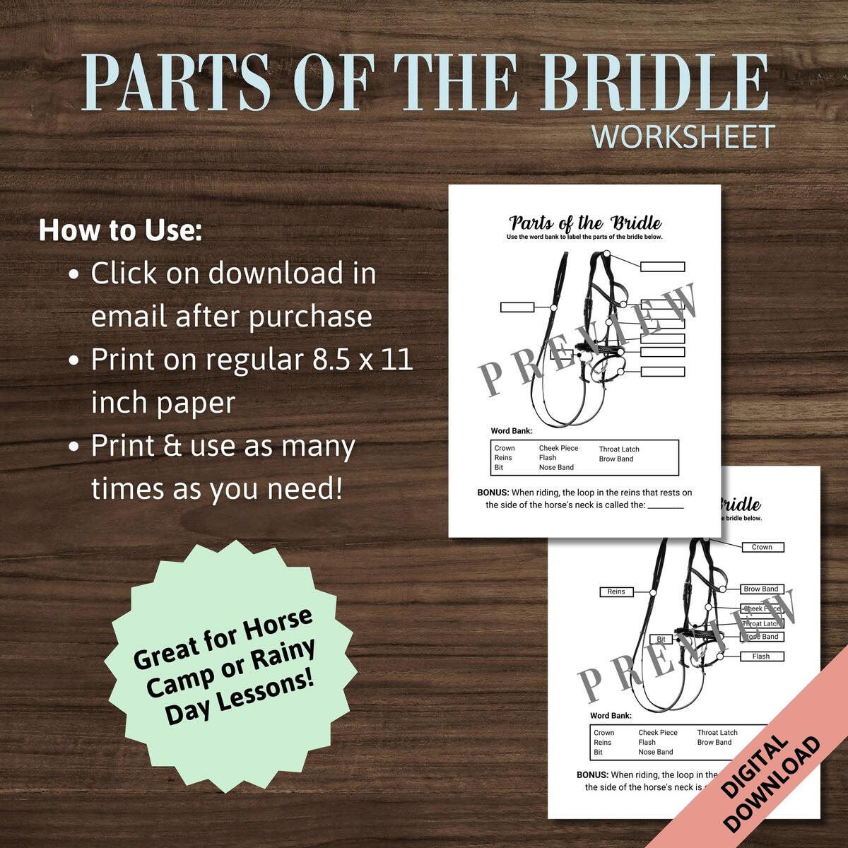 Parts Of The Horse Bridle Worksheet Horse Camp Activity Worksheet Equestrian Learning Homeschool Horse Tack Labeling Horse Equipment Etsy