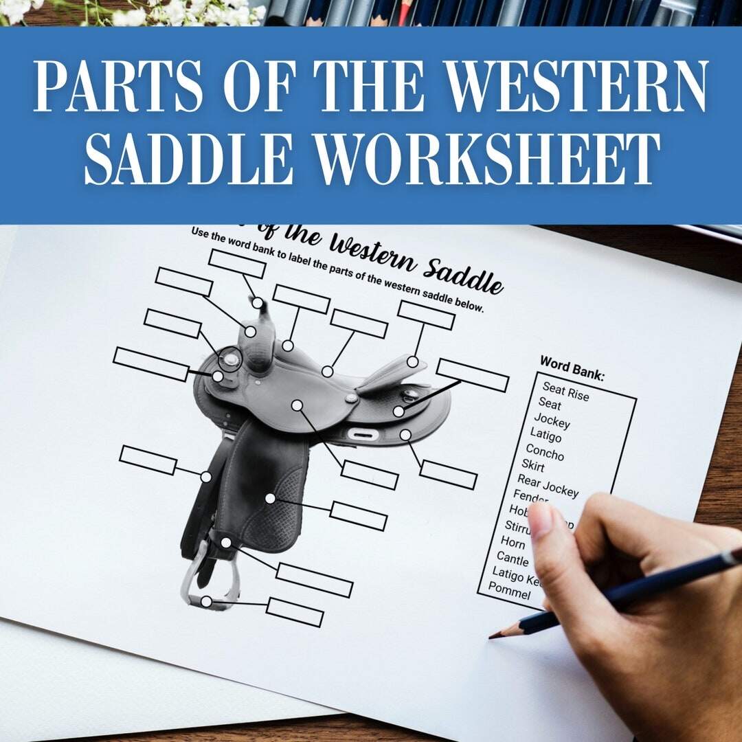 Parts Of The Horses Western Saddle Horse Tack Equipment Label Equestrian Horse Camp Worksheet Activity Horse Game Homeschool Print PDF Etsy