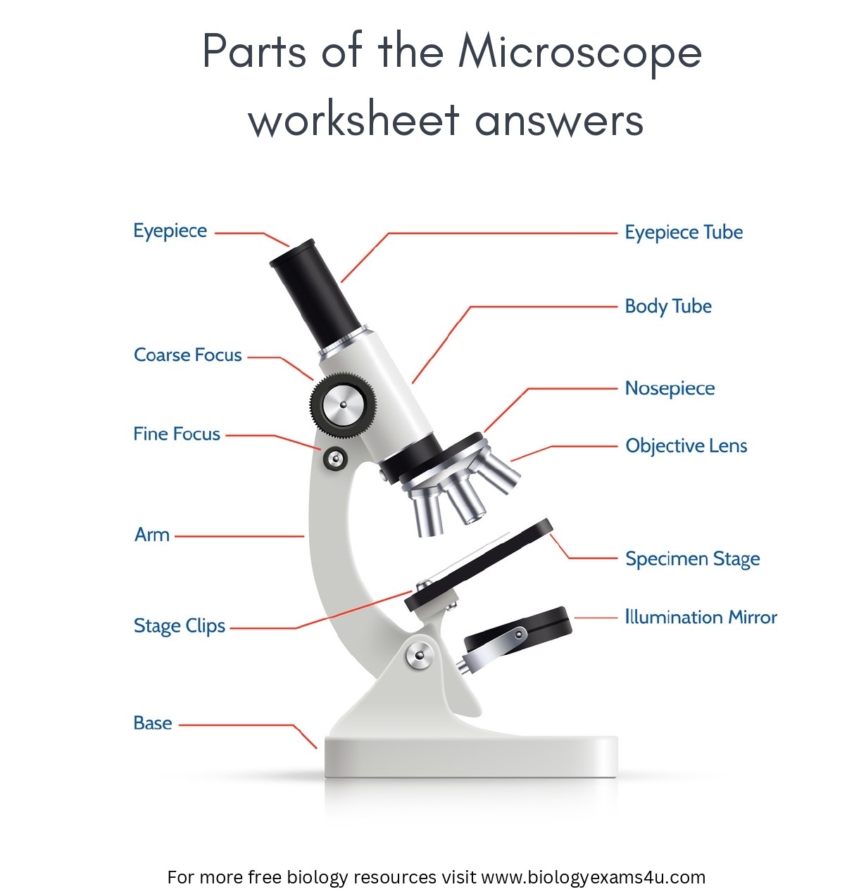 Parts Of A Microscope With Functions And Labeled Diagram