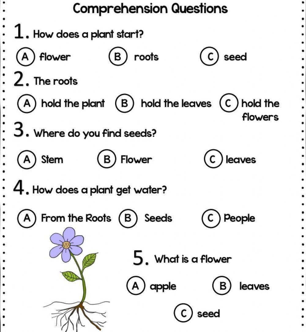Parts Of The Plant Reading Comprehension Worksheet Worksheets Library