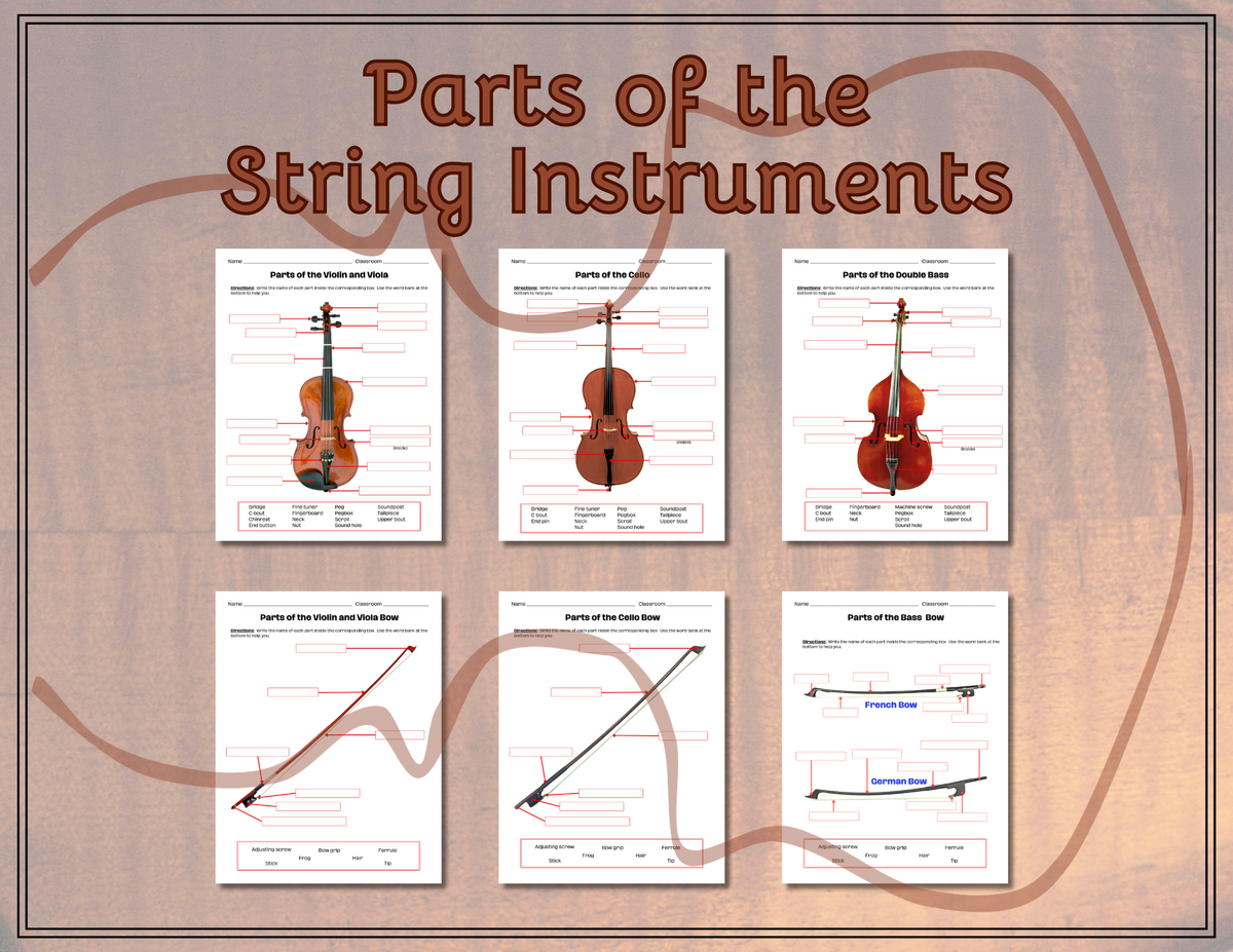 Parts Of The String Instruments And Bows Classful