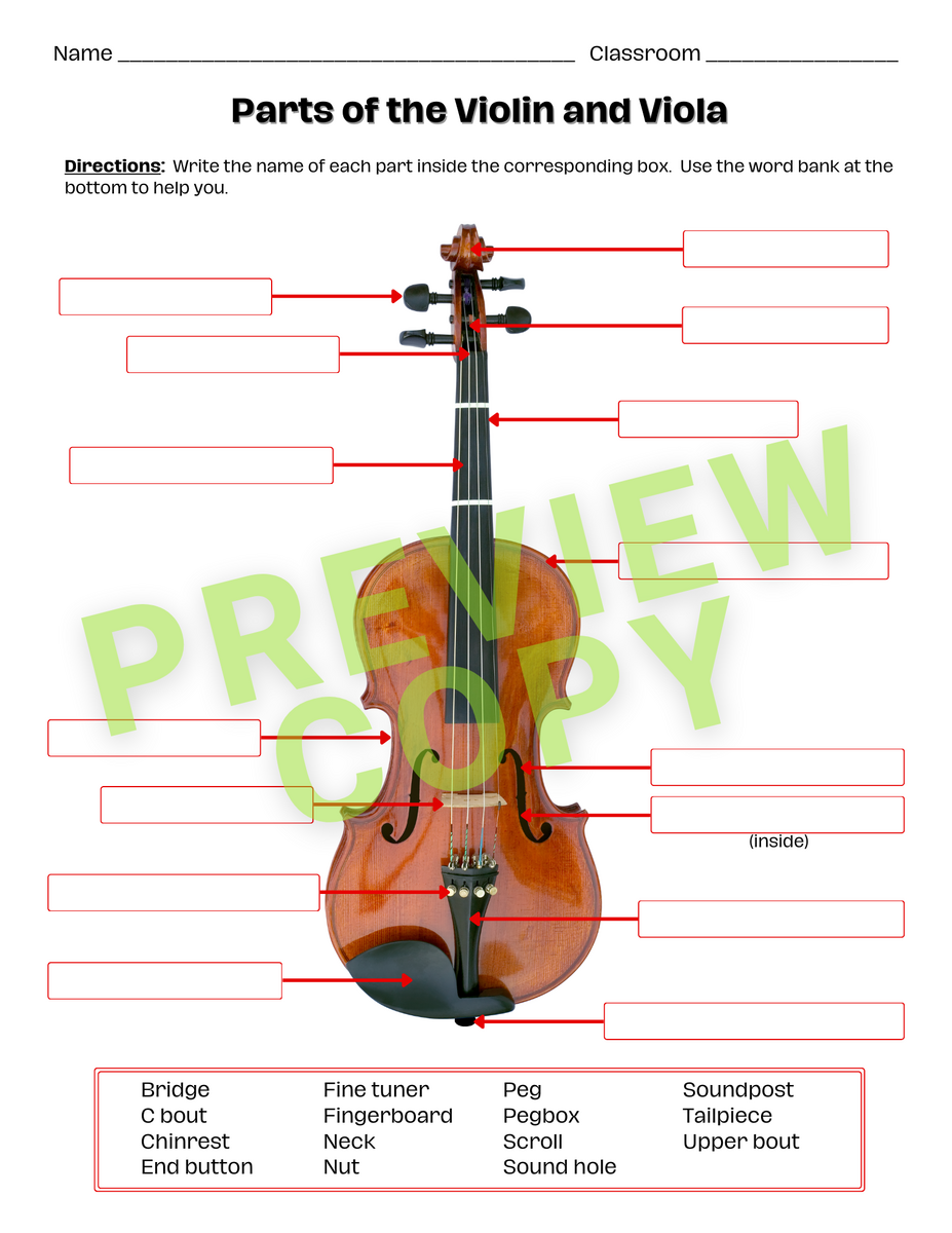 Parts Of The String Instruments And Bows Classful Parts Of The String Instruments And Bows Classful