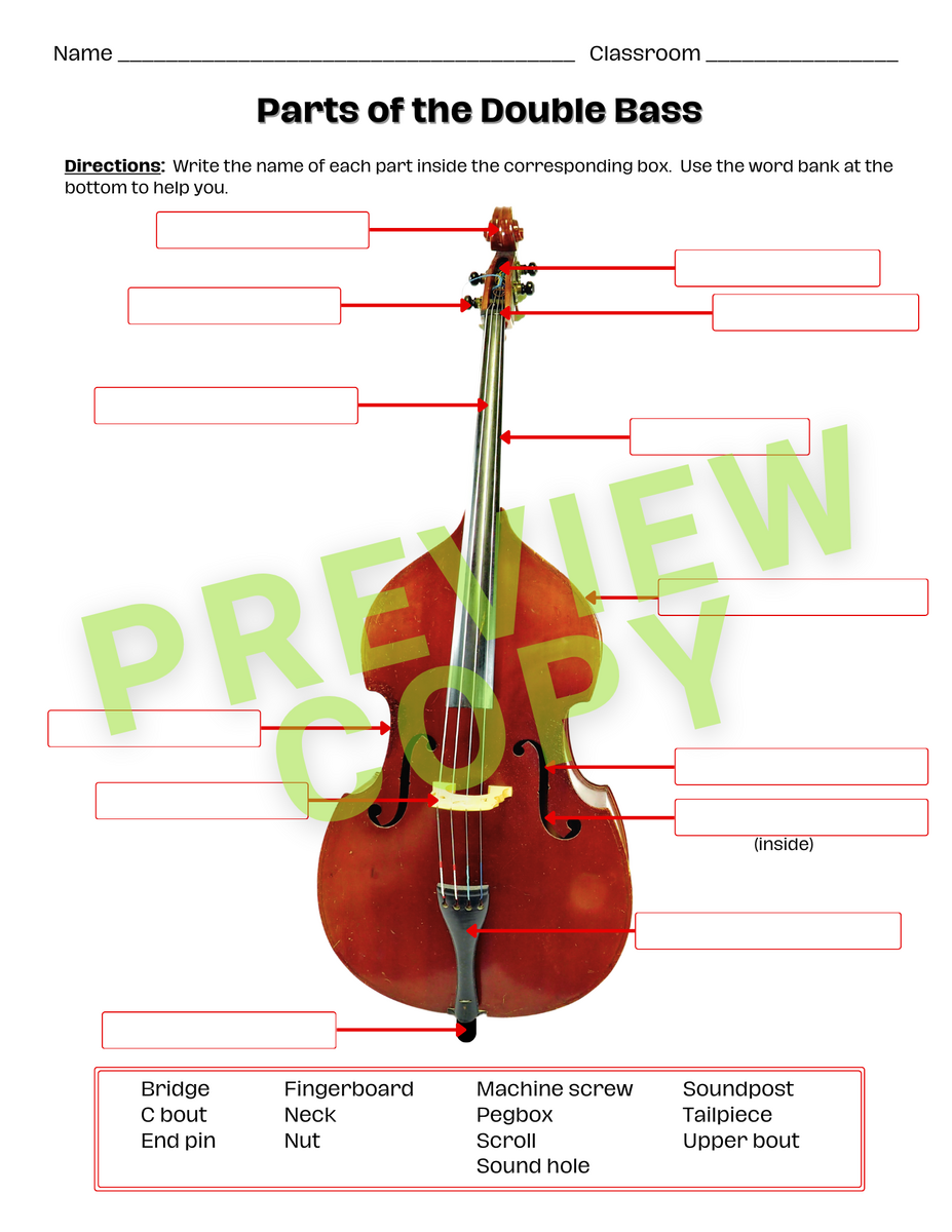 Parts Of The String Instruments And Bows Classful